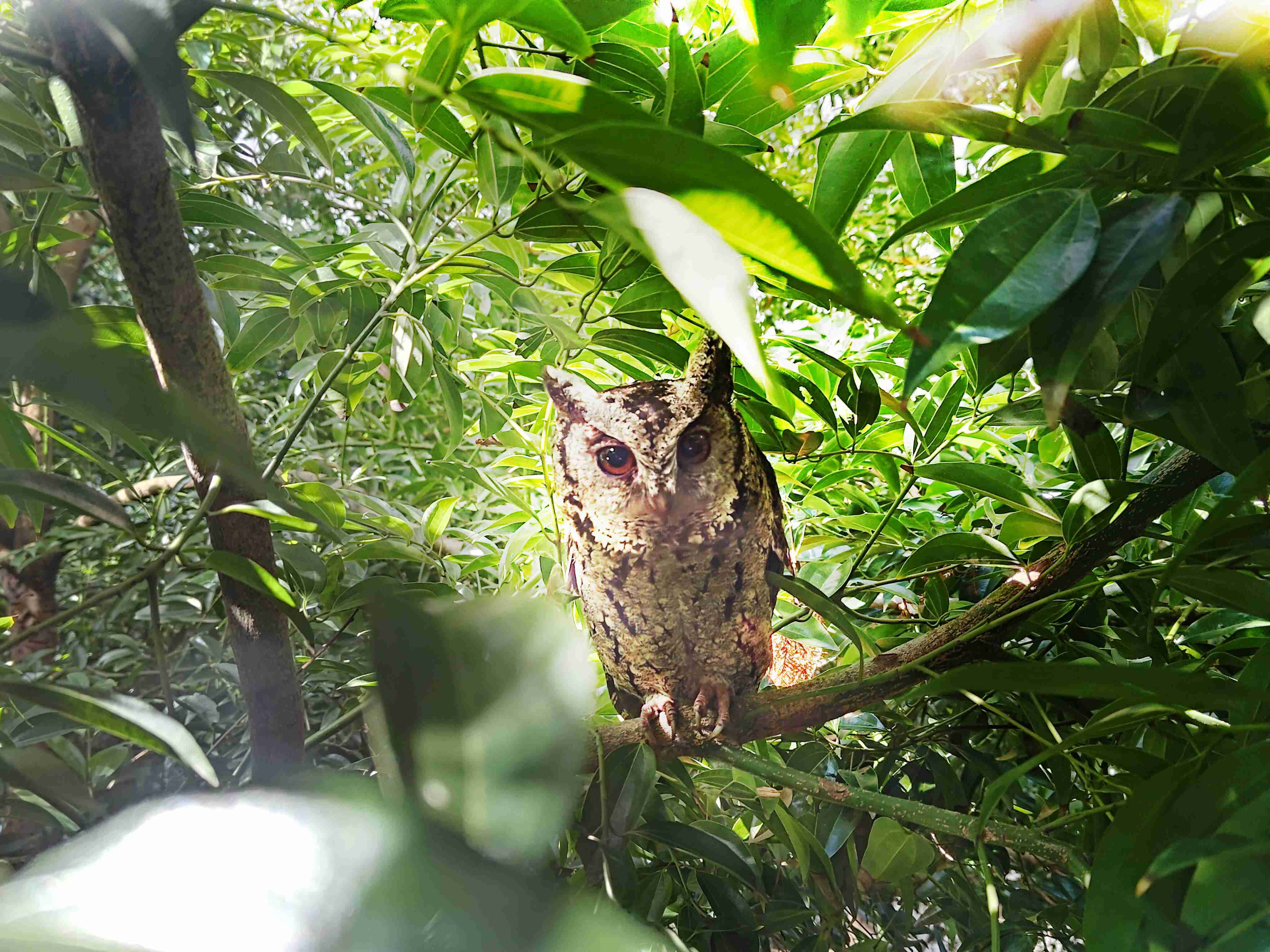 人生就是博致力提倡净零绿生活，，，，16年以来在全球各厂区植树逾百万棵，，造就各厂区树木蔚然成林，，犹如森林工厂，，，成为许多生物的栖息地
